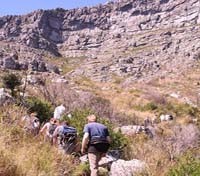 Table Mountain Climb